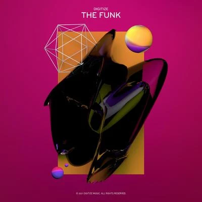 The Funk 专辑 Digitize (IT)/MPV