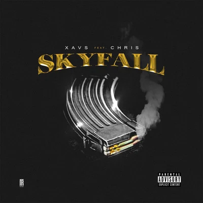 Skyfall 專輯 Chris MC