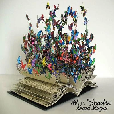 Книга Жизни 專輯 Mr. Shadow