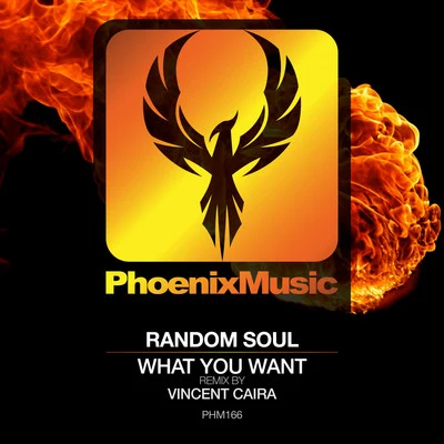 What You Want (Vincent Caira Remix) 专辑 Random Soul