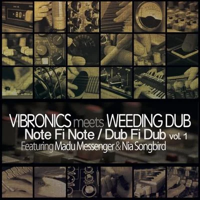 Note Fi NoteDub Fi Dub, Vol. 1 專輯 Afrikan Simba/Vibronics/Cultural Warriors/Murray Man