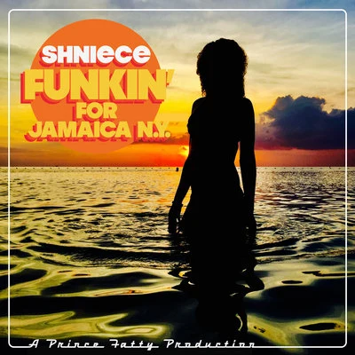 Funkin for Jamaica (N.Y) 專輯 Shniece McMenamin