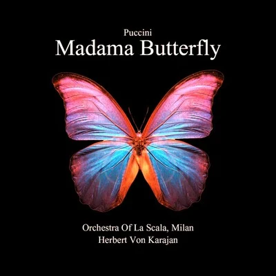 Madama Butterfly 专辑 Renato Ercolani