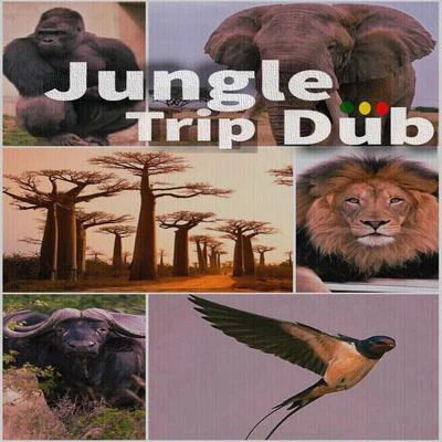 BlackOniVicesaJ BeatsYung Las Jungle Trip Dub