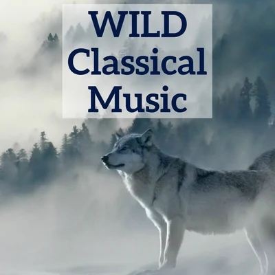 Edvard Grieg Wild Classical Music