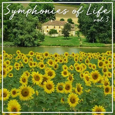 Symphonies Of Life, Vol. 3 - Mozart: The Mozart Album 专辑 Kammerchor Michaelstein/Concerto Koln/Josef Wagner/Michael Hofstetter/Cyndia Sieden