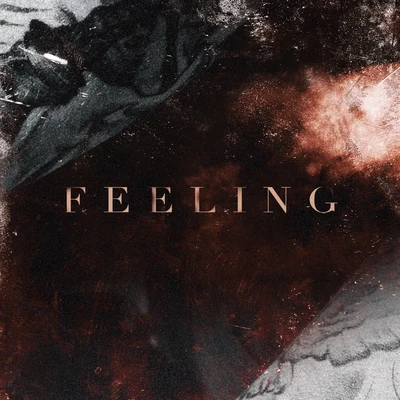 Feeling 專輯 Nick Dean/N.O.R.E./Emilio Rojas