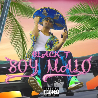 Soy Malo 專輯 DJ Sebb/Black T