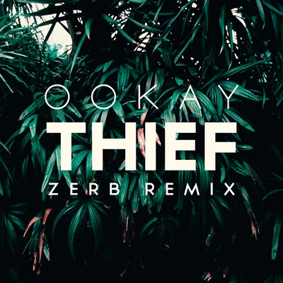 Thief (Zerb Remix) 专辑 ToWonder/Ookay