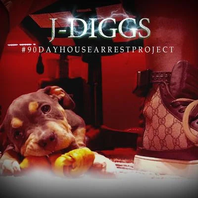 #90DayHouseArrestProject 專輯 J-Diggs