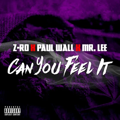 Can You Feel It 專輯 Z-Ro/Gotti/D/2/DJ Screw|Z