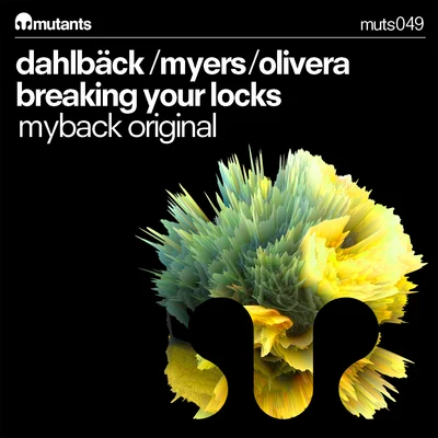 Breaking Your Locks 專輯 Roman Salzger/John Dahlback/Incognet/Futuristic Polar Bears/Vincent Vega