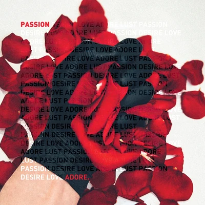 Passion (Remixes, Pt. 1) 專輯 Juan Sanchez/Michael Klein/Fabe/Radu Dracul/Joe Metzenmacher