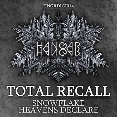 SnowflakeHeavens Declare 專輯 Tomoyoshi/Total Recall