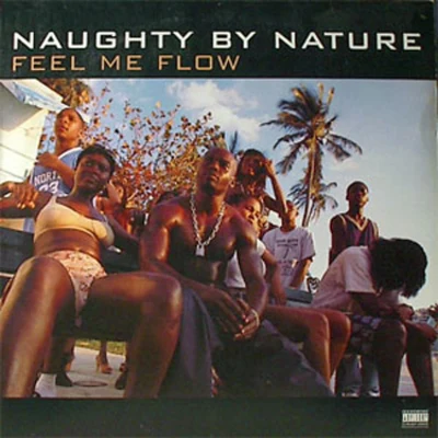 Feel Me FlowHang Out And Hustle 專輯 Naughty by Nature