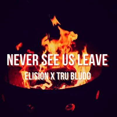 Never See Us Leave (feat. Tru Bludd) 專輯 Sam Hayden/Trio EKL/Elision/Ensemble Mosaik/Enno Poppe