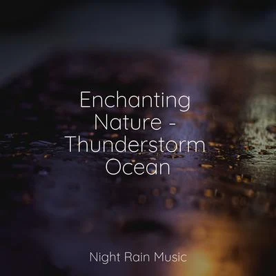 Enchanting Nature - Thunderstorm Ocean 專輯 Buddhist Meditation Music Set/The Rain Library/Classical Lullabies