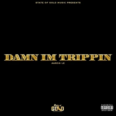 Damn I&#x27;m Trippin&#x27; 专辑 Aaron Le/Dmac/ThaCuttyz