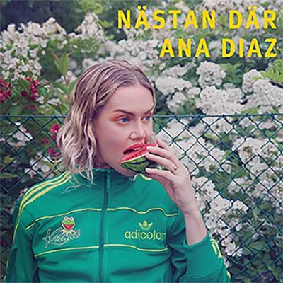 Nästan där 专辑 Ana Diaz