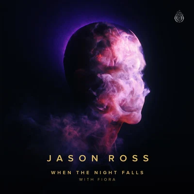 When The Night Falls (with Fiora) 專輯 Jason Ross