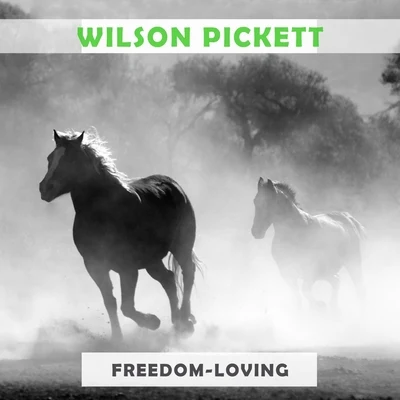 Freedom Loving 專輯 Inc./Wilson Pickett/Creedence Clearwater Revival/Quintino & Blasterjaxx/Lipps