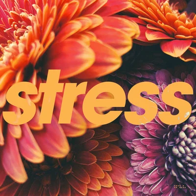 Stress 專輯 Jacaszek/Tycho/shigeto/Willits + Sakamoto/Geoff White