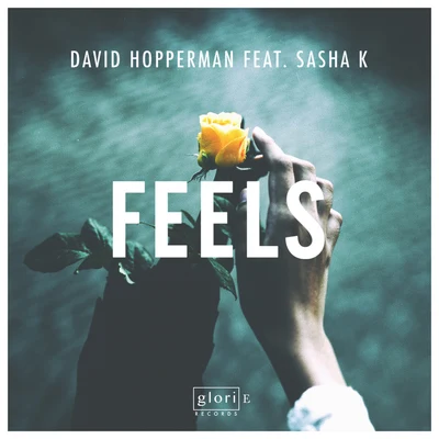 Feels 專輯 David Hopperman/Danny Dearden