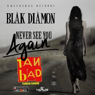 Never See You Again (Tan Bad Riddim) 专辑 UIMGUZU/Blak Diamon/Tommy Lee Sparta