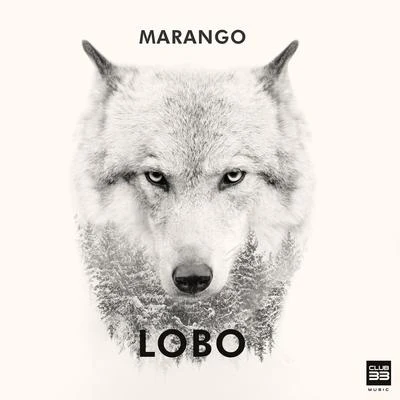 Lobo 專輯 Marango/Rasel