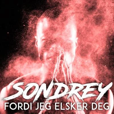 Fordi jeg elsker deg 专辑 Sondrey/BASE/Wiéna