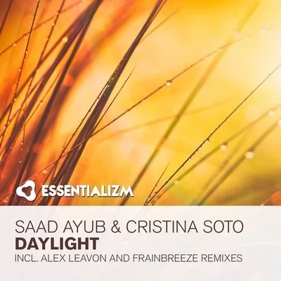 Daylight (The Remixes) 专辑 Saad Ayub