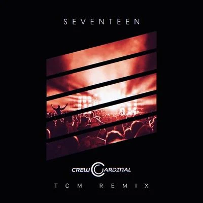 TCMElementD Seventeen (TCM Remix)