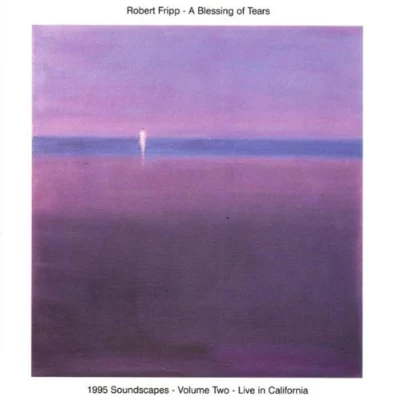 A Blessing of Tears: 1995 Soundscapes, Vol. 2 [live] 专辑 Robert Fripp