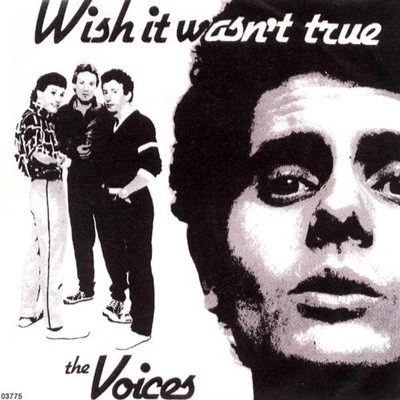 Wish It Wasn&#x27;t True 专辑 The Elves/The Voices/Jesse Belvin/Smokey Hogg/Nunn