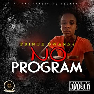 No Program (Trinidad and Tobago Dancehall) 專輯 Donpert/Prince Swanny