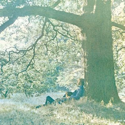 Plastic Ono Band 專輯 Yoko Ono/Edwin Hawkins/José Feliciano/Linda Cobelli/Elisa Mutto