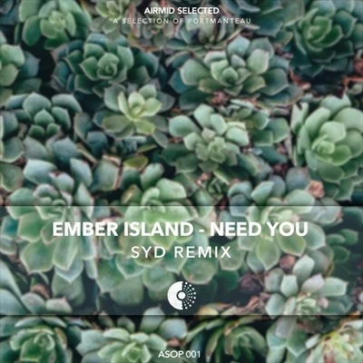 Need You (Syd Remix) 专辑 Syd/Jorja Smith/DaniLeigh/Kali Uchis/Bryson Tiller