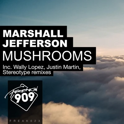 Mushrooms (Remixes, Pt. 2) 專輯 Marshall Jefferson/Phuture/Kevin Irving/Adonis/Mr Lee