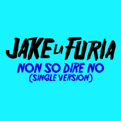 Non So Dire No (Single Version) 專輯 Jake La Furia