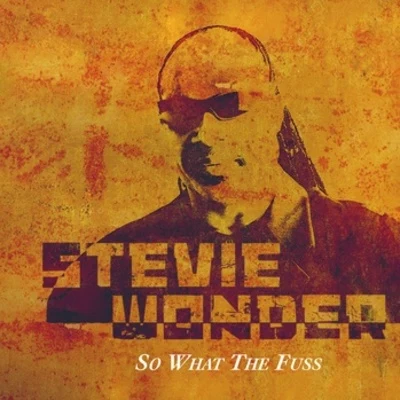 Stevie Wonder So What The Fuss