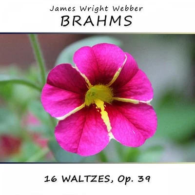 Brahms: 16 Waltzes, Op. 39 專輯 James Wright Webber