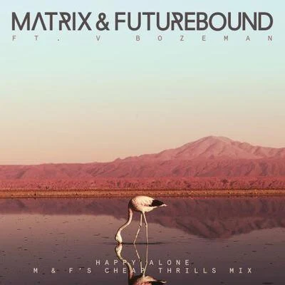 Happy Alone (M Fs Cheap Thrills Mix) 专辑 Matrix & Futurebound