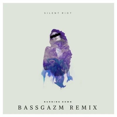 Burning Down (Bassgazm Remix) 专辑 Adam Bomb/Silent Riot