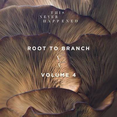 Root to Branch, Vol. 4 專輯 Felicity/OCULA/Julian Gray/Rhett