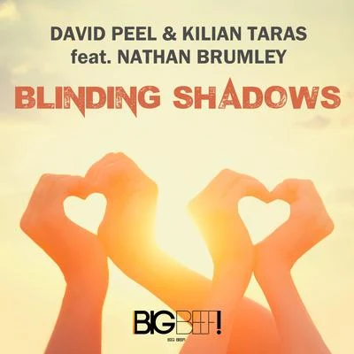 Blinding Shadows 专辑 David Peel/Sublime/The Black Crowes/Cypress Hill/Blues Traveler