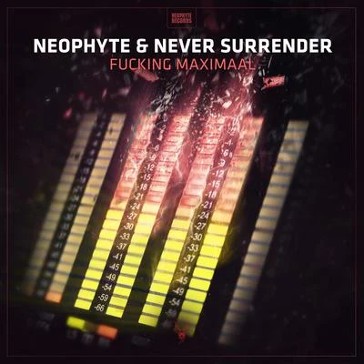 ******* Maximaal 專輯 Never Surrender