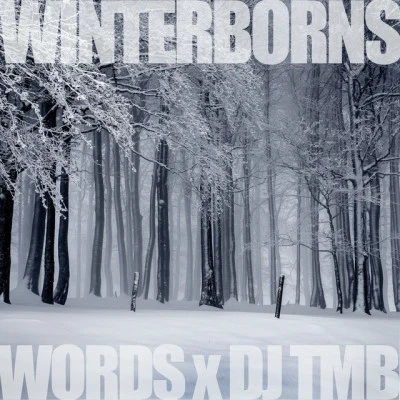 The Winterborns 專輯 SPACE KAMP/Dj Tmb