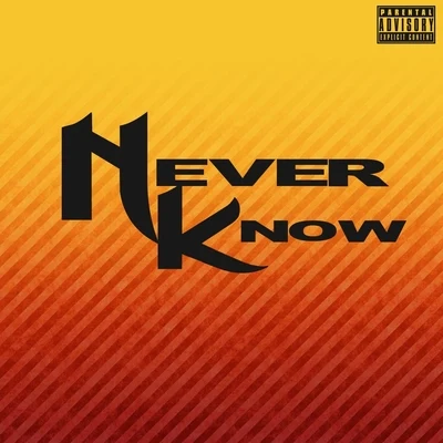 Never Know (feat. Jp Tha Hustler) 專輯 JP Tha Hustler