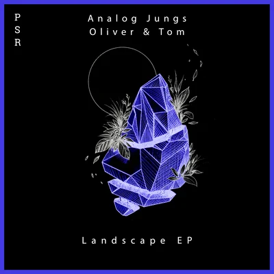 Landscape EP 專輯 Analog Jungs/Antrim