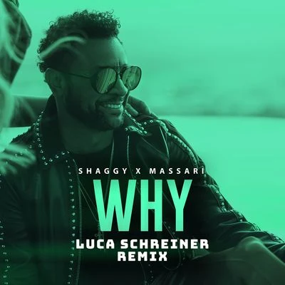 Massari Why (Luca Schreiner Remix)